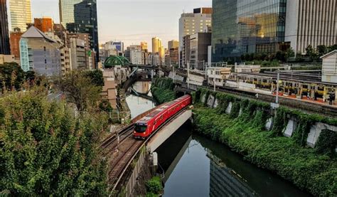 東京駅から御茶ノ水駅：都市の鼓動と学問の静けさ